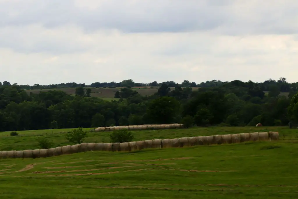 Oh, I forgot to mention that there is also a lot of hay lying about.