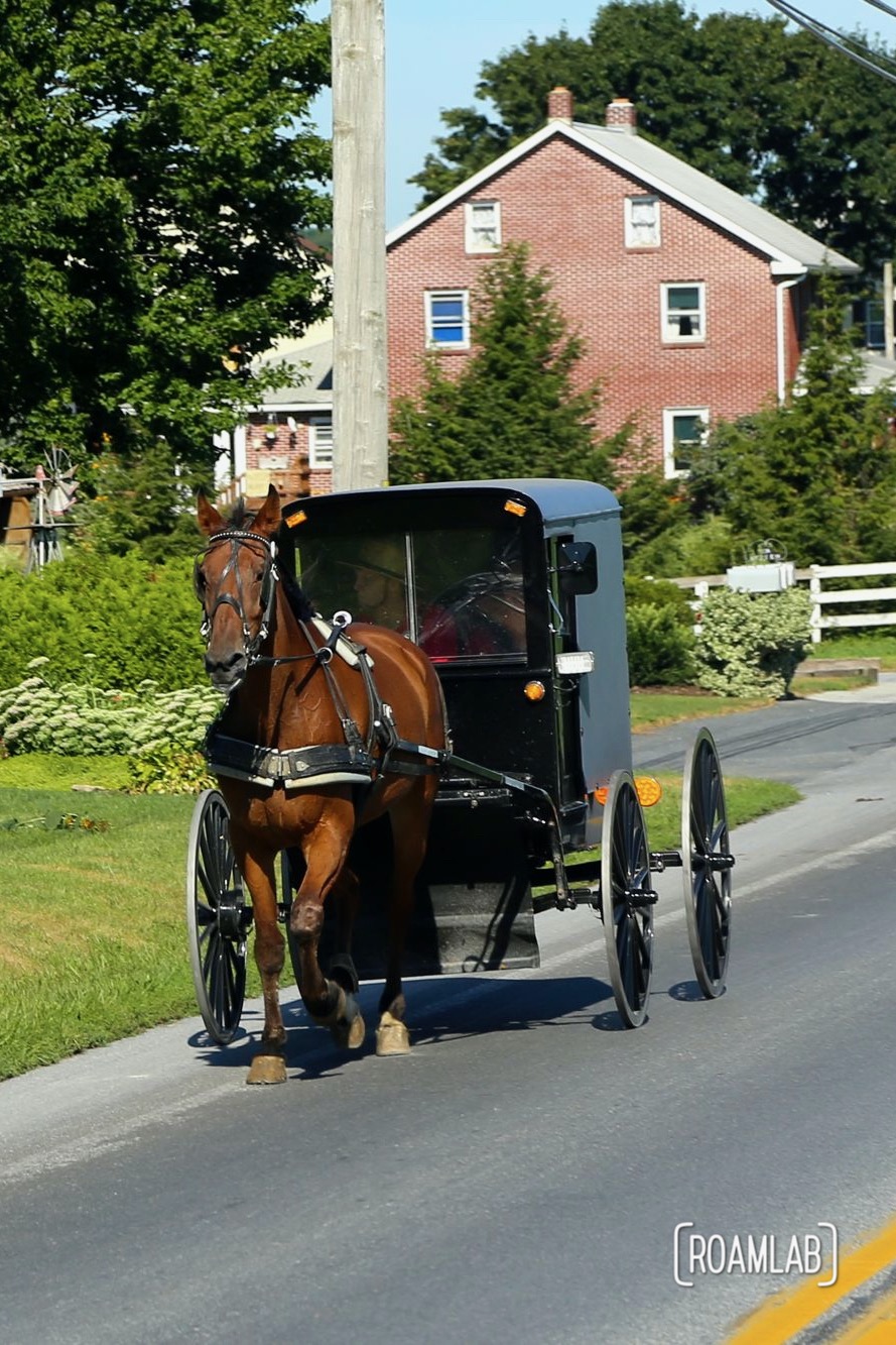 Sharing the road with a horse and buggy in Intercourse, Pennsylvania