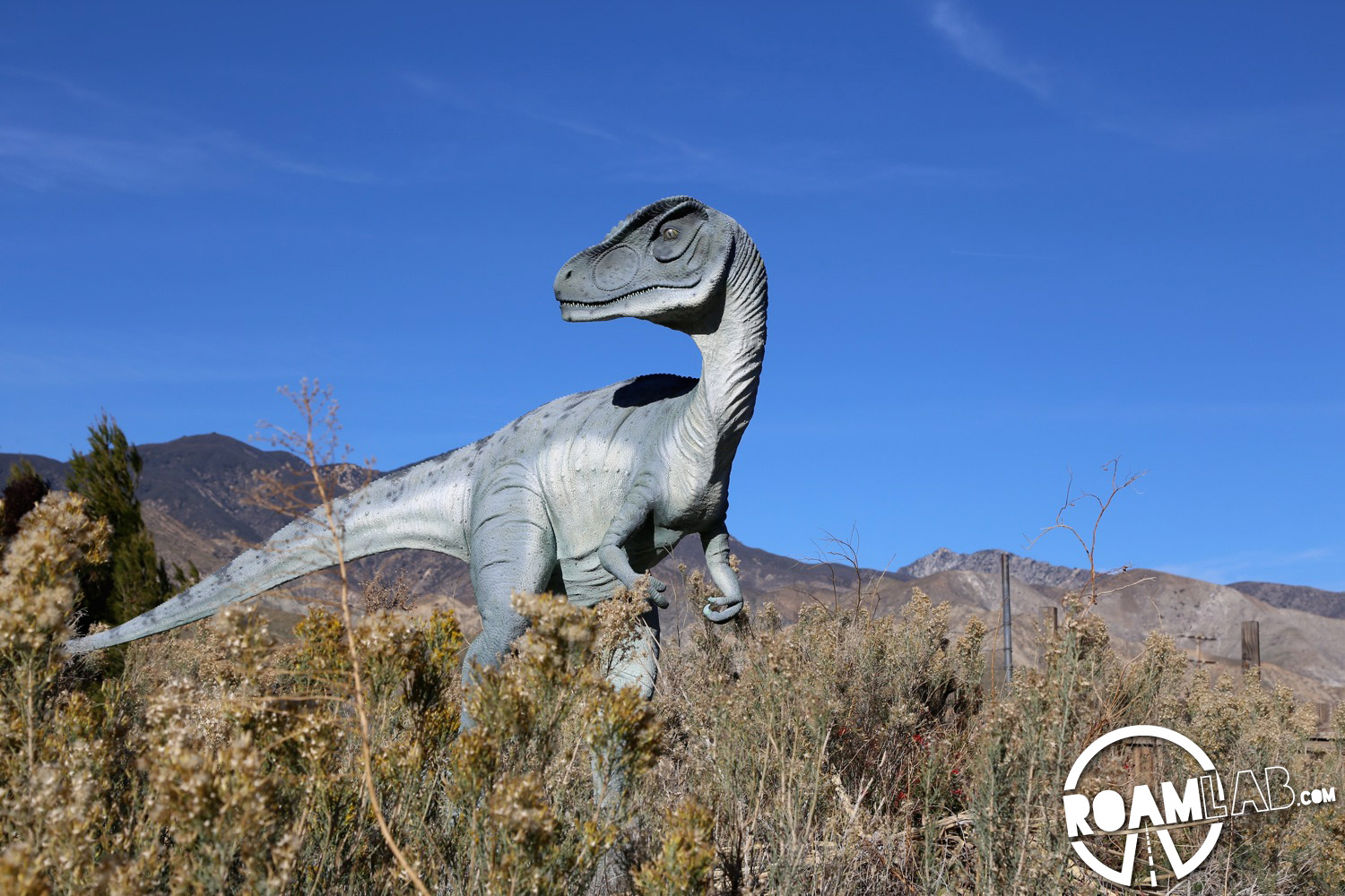 The Cabazon Dinosaurs