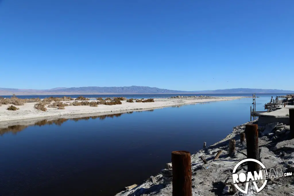 On the shoreline of the Salton Sea