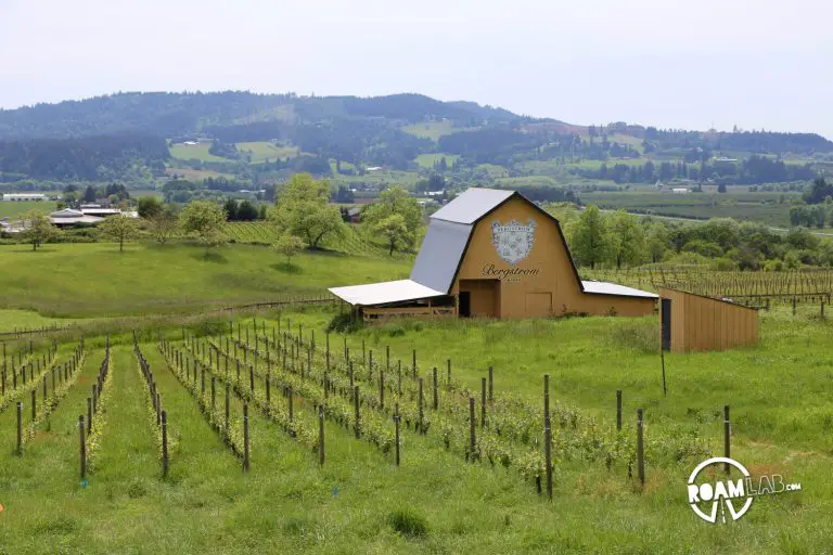 Barn in the Vineyards of Willamette Valley