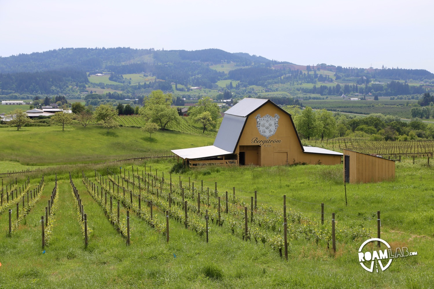 Barn in the Vineyards of Willamette Valley