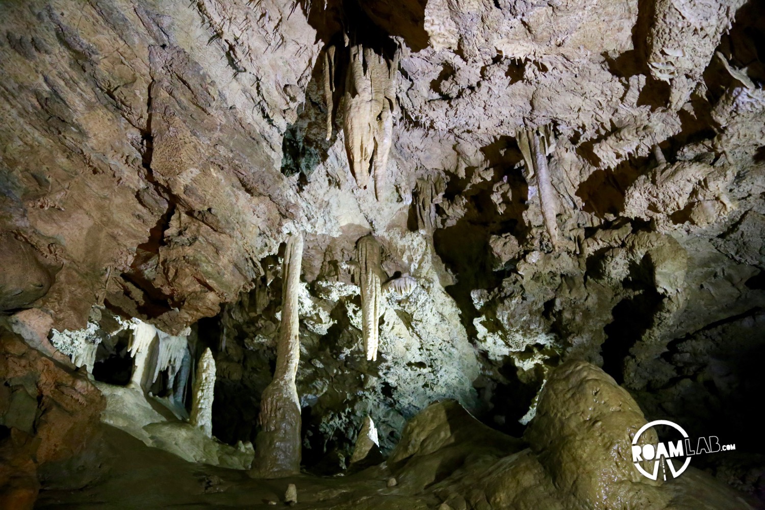 Joaquin Miller's Chapel: a collection of stalagmites, stalactites, and pillars in the Oregon Caves National Monument