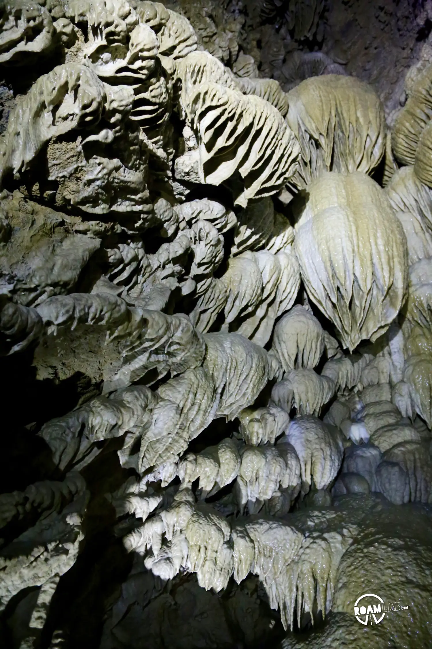 Paradise Lost is a magnificent curtain formation and, by far, the finest formation along the tour of the Oregon Caves National Monument
