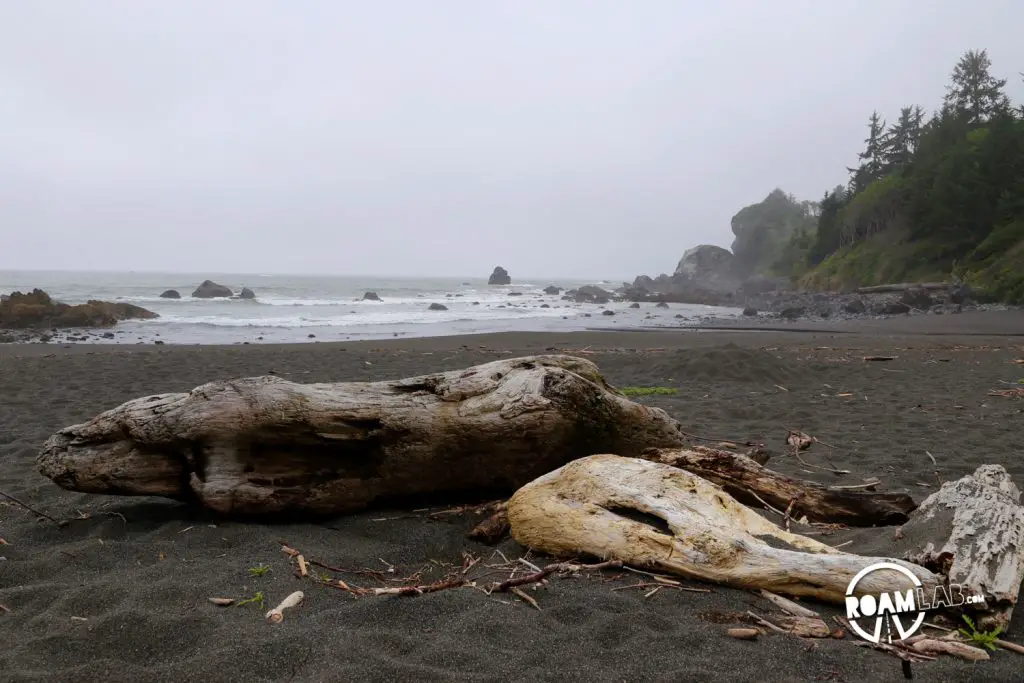 Foggy black sand beach of northern California.