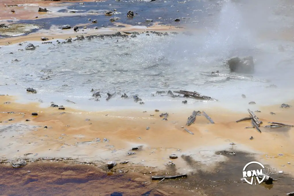 Hot water in the Norris Geyeser Basin