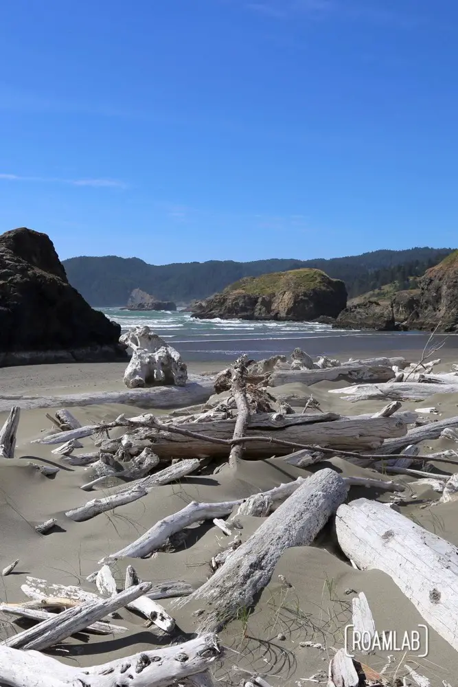 Driftwood washed ashore along the Oregon Coast.
