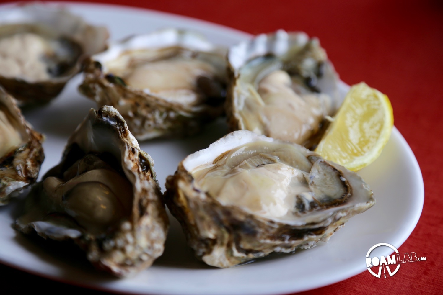 Washington Oysters for dinner.