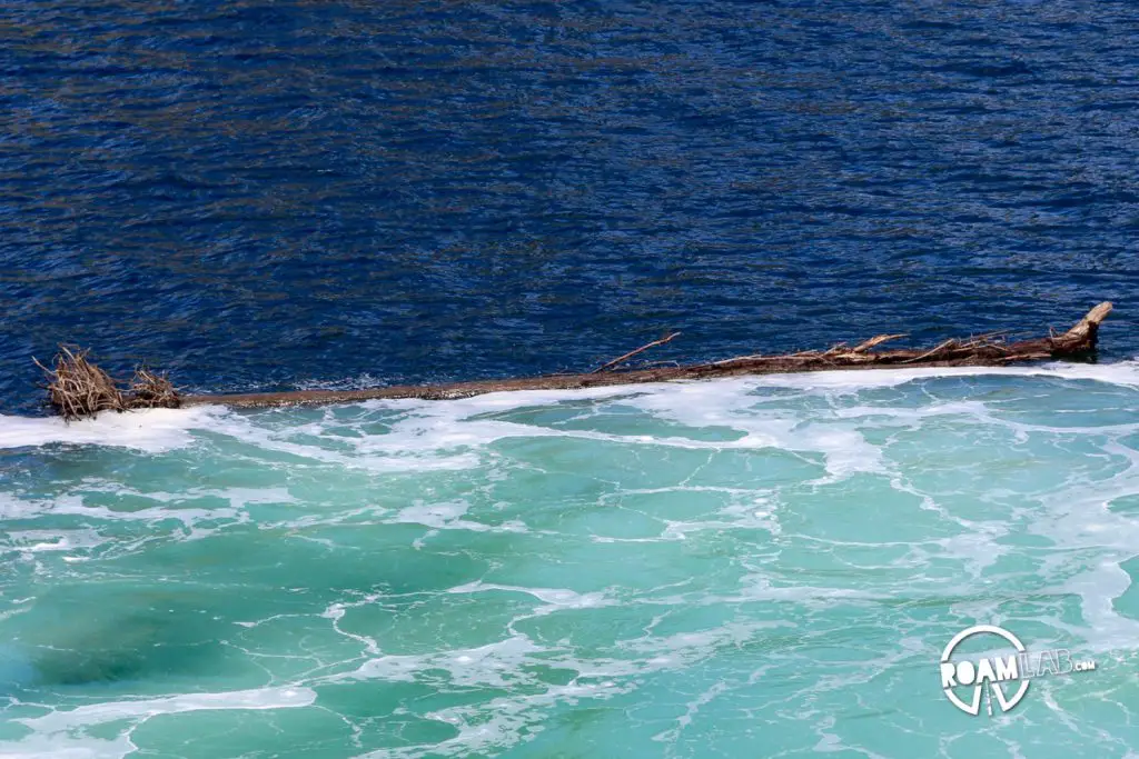 A tree sized log, maybe just a tree, floating in the water. It was large enough that our ferry redirected at the last minute to use the second dock. They were impressively good at navigating such a large ship in such a limited space.