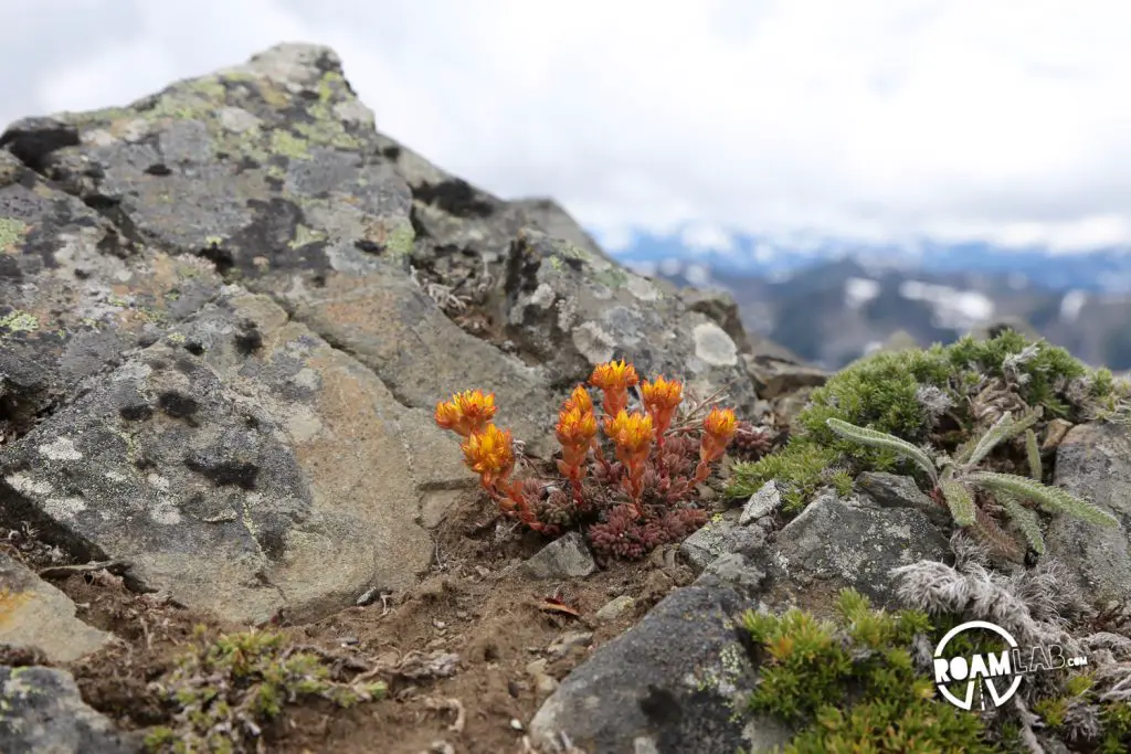 Obstruction Point