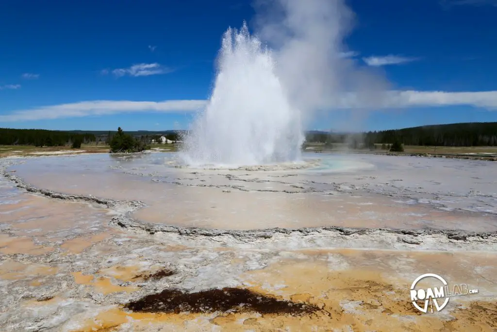 Great Fountain Geyser in the Lower Geyser Basin was an unexpected treat. As we drove up, it began to erupt and I went wild with my camera.