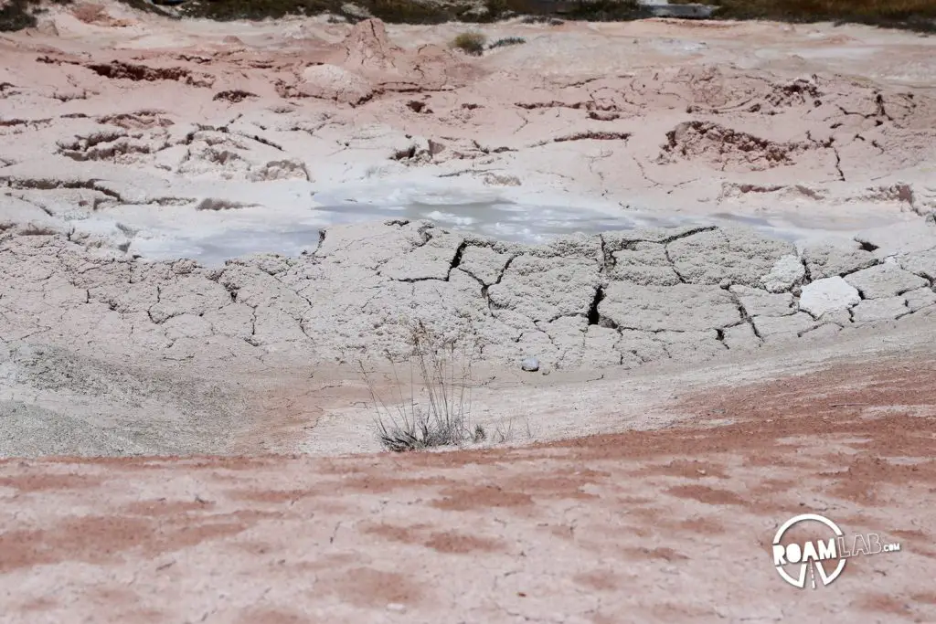 Fountain Paint Pots thermal area mudpot