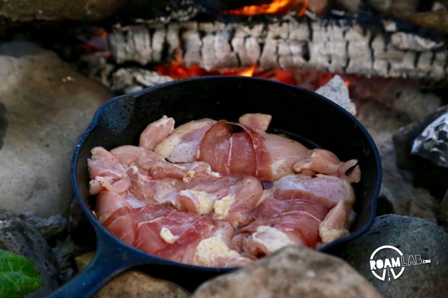 Cooking Gourmet Campground & RV-Friendly Meals