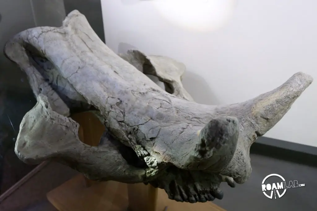 Fossil Exhibit Trail