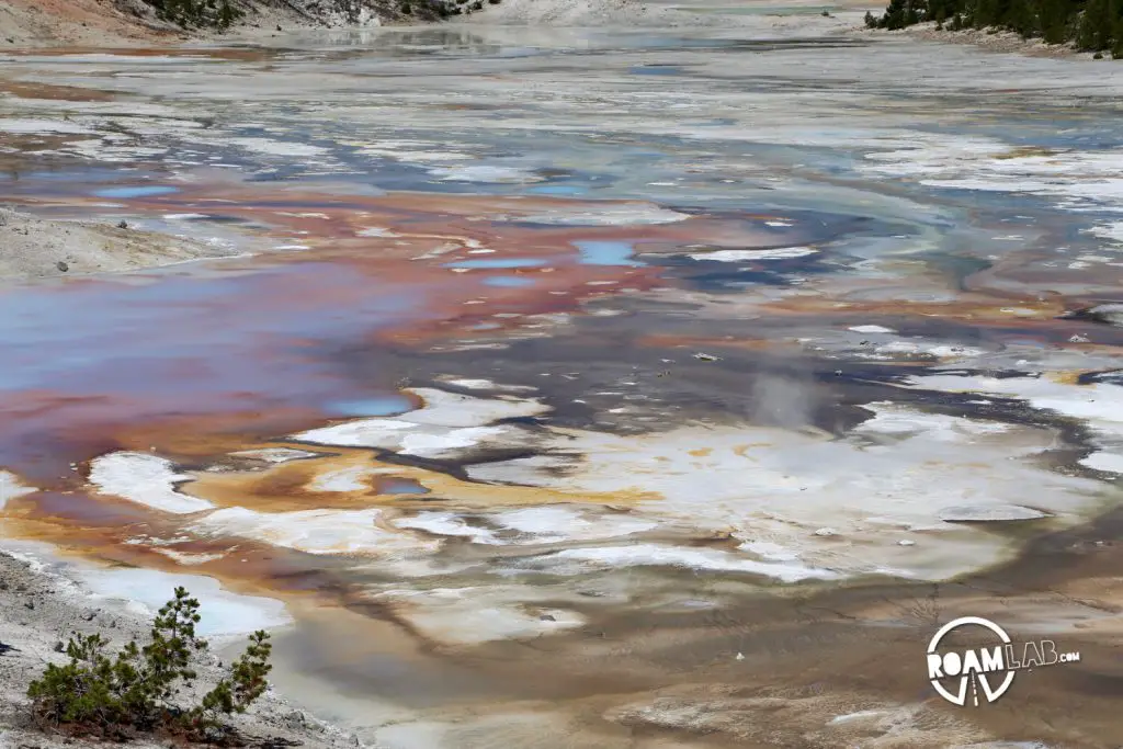 Norris Geyser Basin