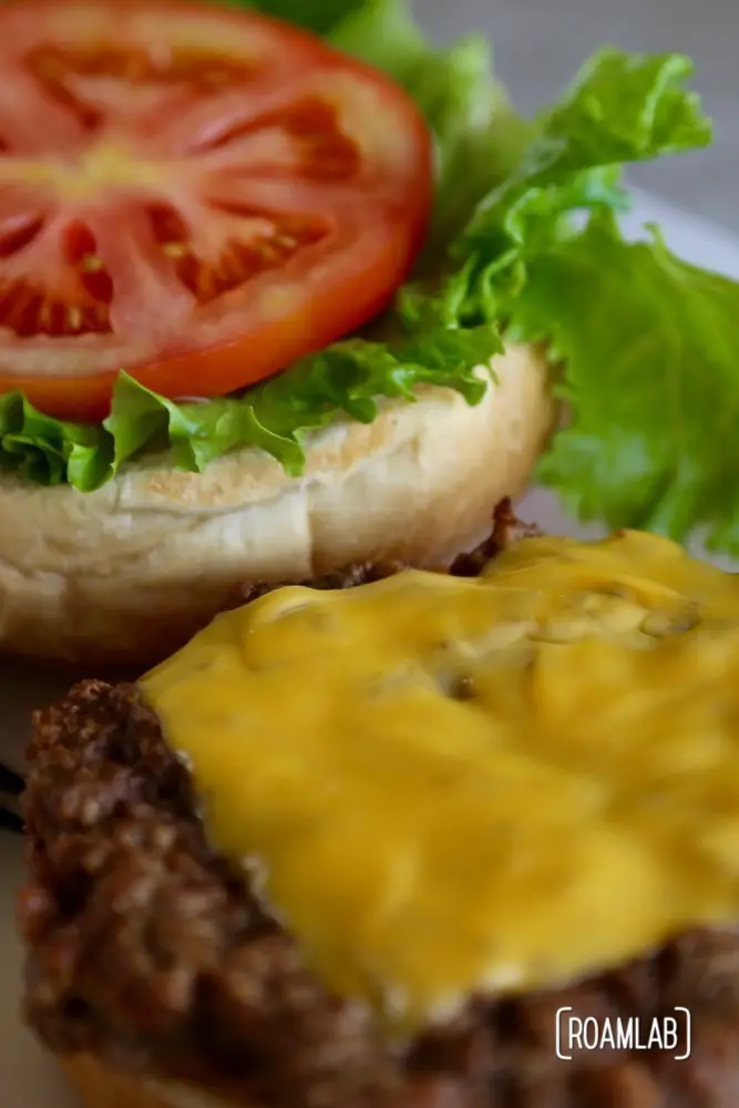 Burger at the 50s Train Diner at 1880s town, South Dakota