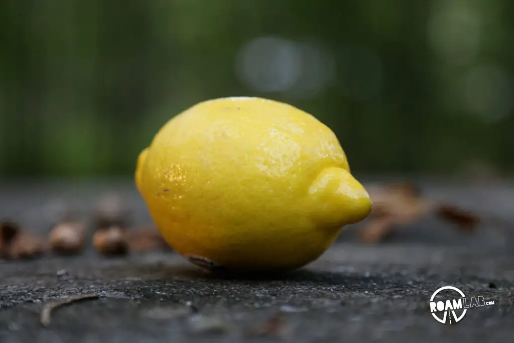 Lemon, ready for zesting