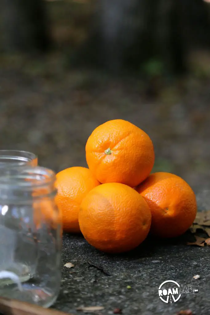 Oranges ready for their final, noble demise for the sake of Big Boys & Girls Boozy Campground Orange Sticky Rolls.