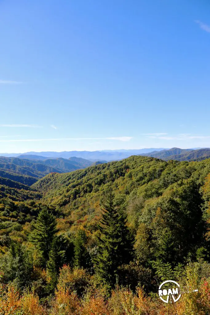 Lush greenery spreads out along the Great Smoky Mountains National Park