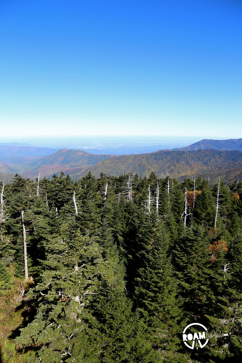 The hike to the top of Clingman's Dome may be steep but the end is an amazing vista of the Great Smoky Mountains National Park.