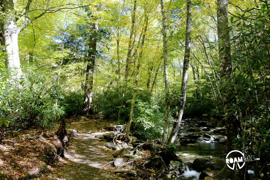 Alum Cave Trail