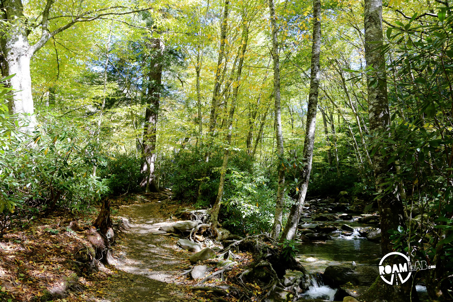 The Alum Creek Trail in the Great Smokey Mountains follows the Alum Cave Creek for the first 1.3 miles.