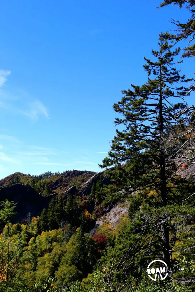 View from Inspiration Point along the Alum Cave Trail in the Great Smoky Mountains National Park.