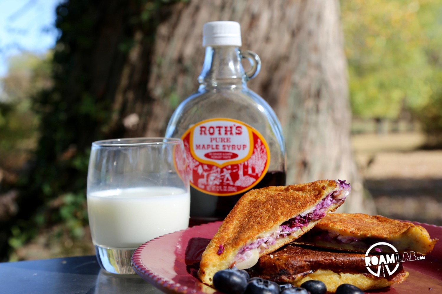 There is a day of adventure ahead of us, and it all starts with a little breakfast number that I like to call: Camper's Blueberry Almond French Toast.