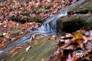 Jackson Falls is one of the iconic waterfalls along the Natchez Trace Parkway.