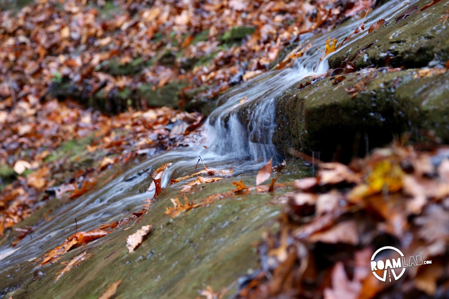 Jackson Falls is one of the iconic waterfalls along the Natchez Trace Parkway.