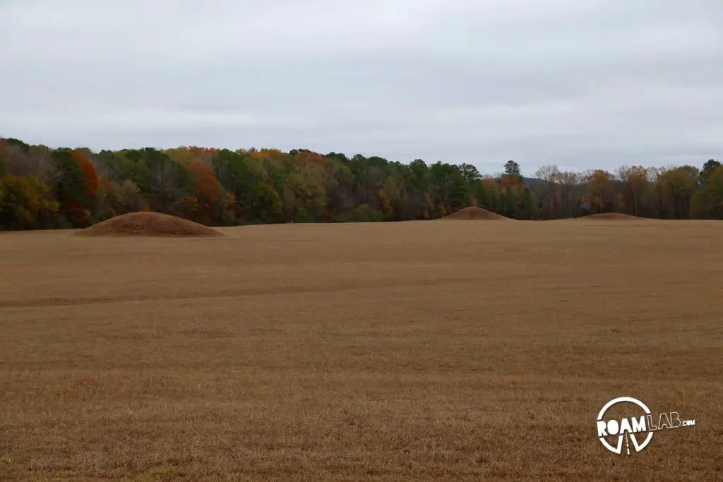 Pharr Mounds