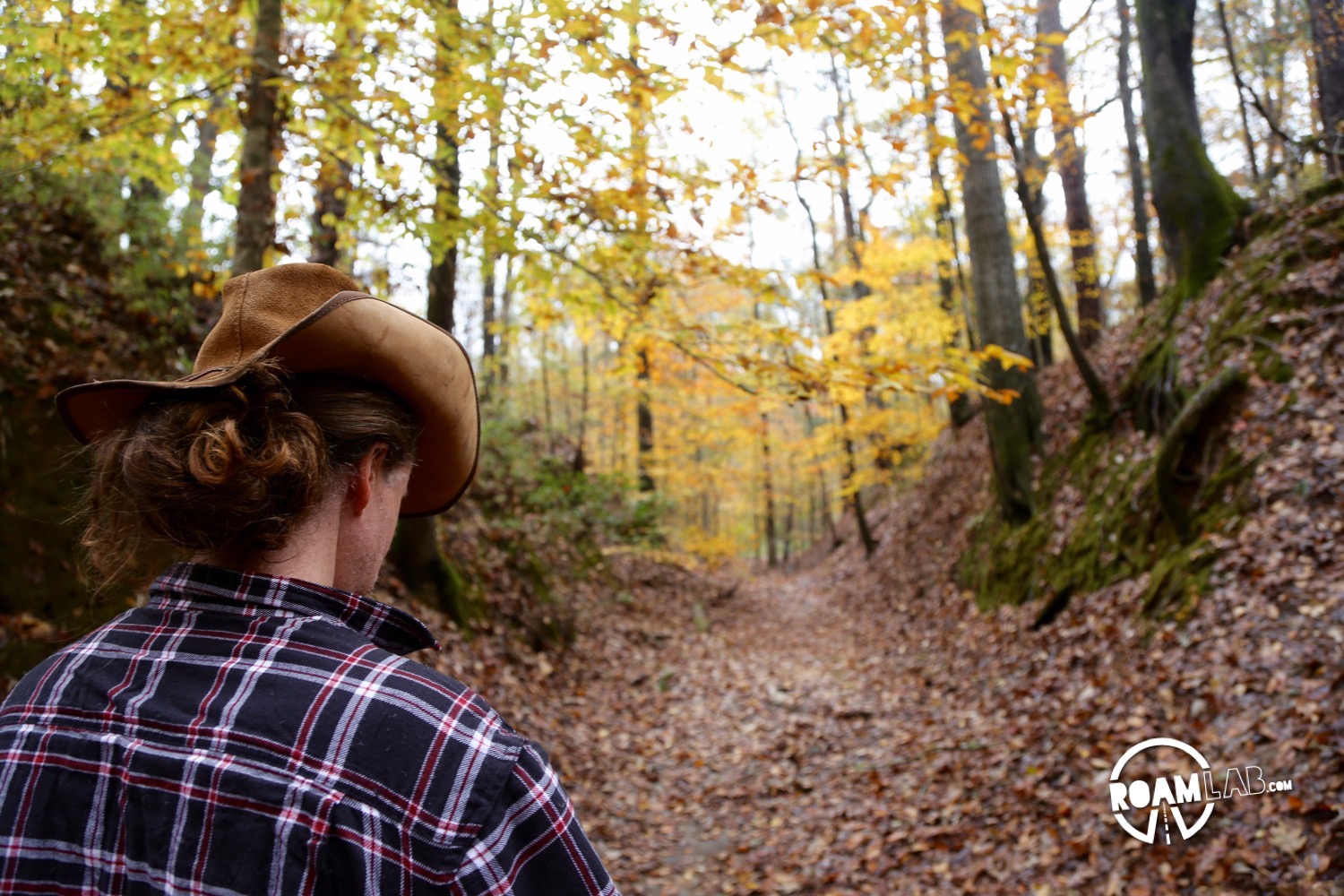 The Sunken Trace is the product of centuries of travel. Traders following the Natchez Trace wore down the trail so that, in places, the untrod ground may be above one's head.