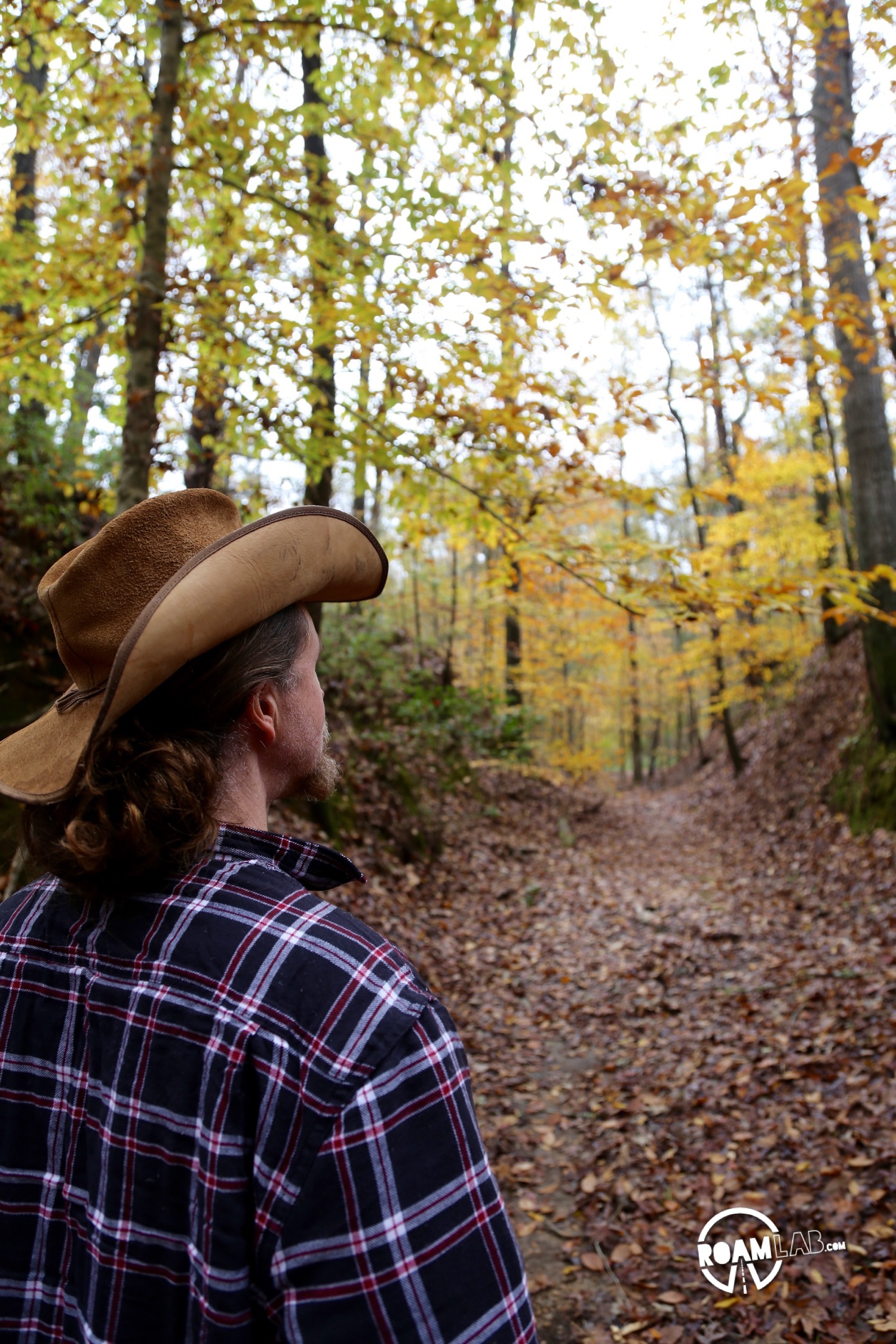 The Sunken Trace is the product of centuries of travel. Traders following the Natchez Trace wore down the trail so that, in places, the untrod ground may be above one's head.