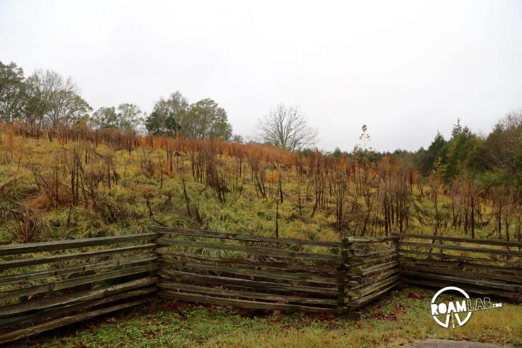Mangum Mound