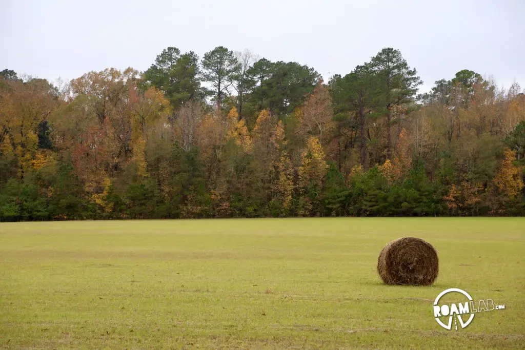 Mount Locust Inn is one of the few remaining stands along the Natchez Trace.