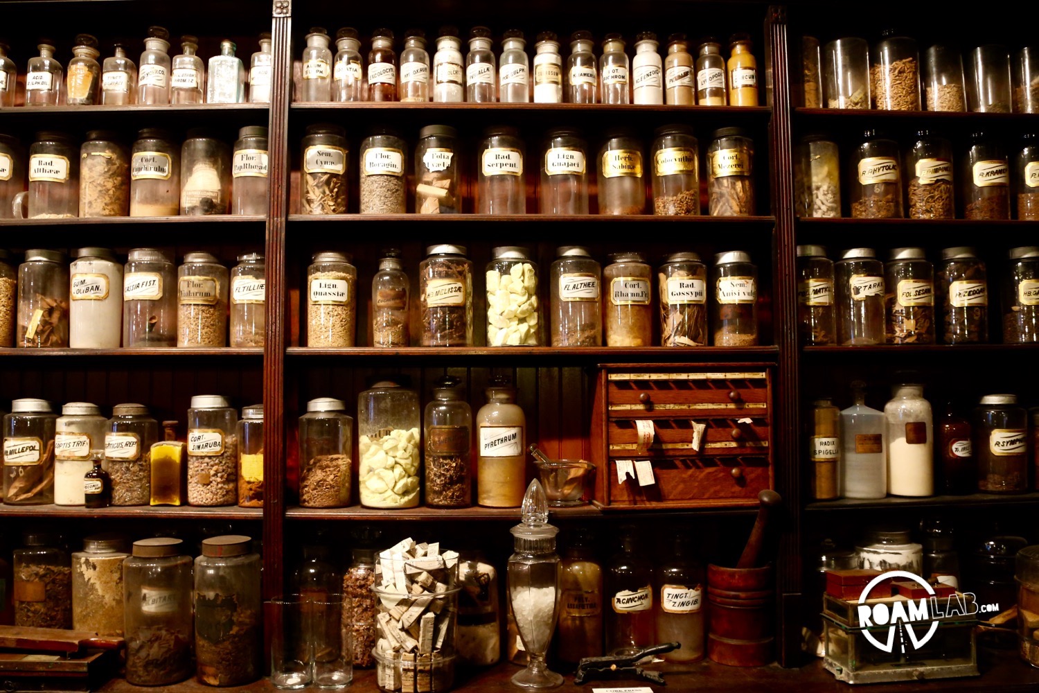 New Orleans Pharmacy Museum explores the history of medicine from leeches to voodoo and everything in between.