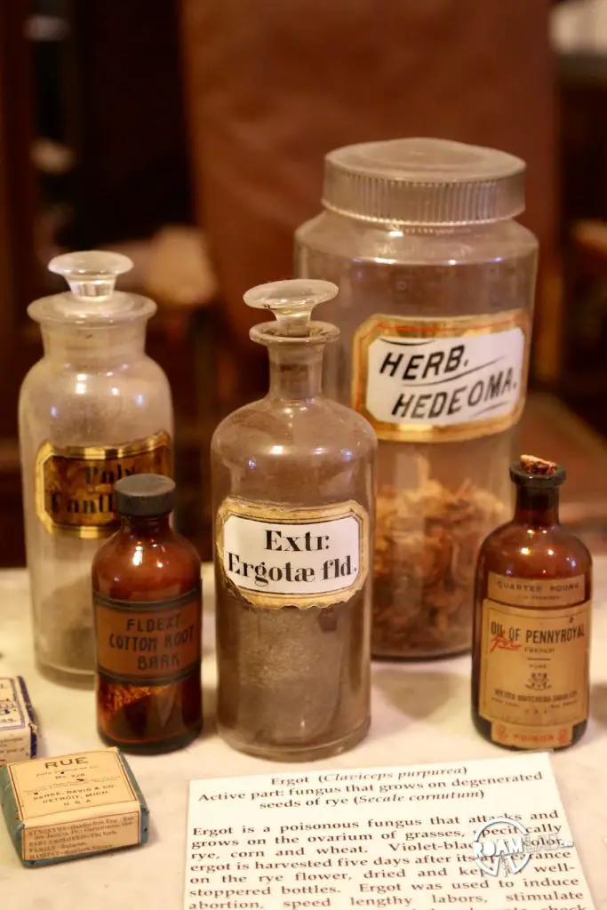 New Orleans Pharmacy Museum explores the history of medicine from leeches to voodoo and everything in between.