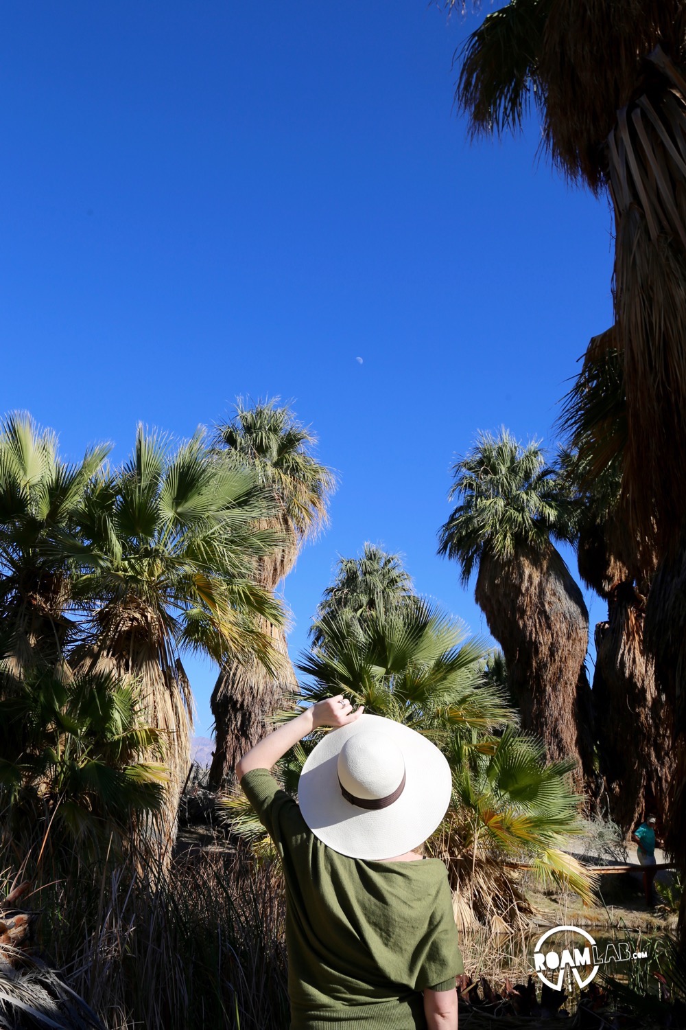 In the middle of the California desert is the Thousand Palms Oasis.