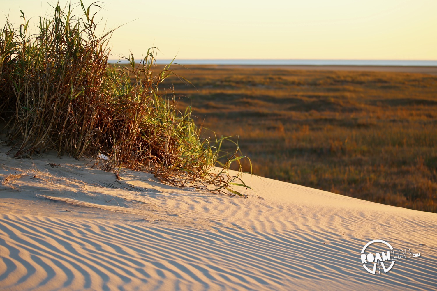 Very little of South Padre island is developed. The rest is rolling sand dunes for the crabs and clams and birds.