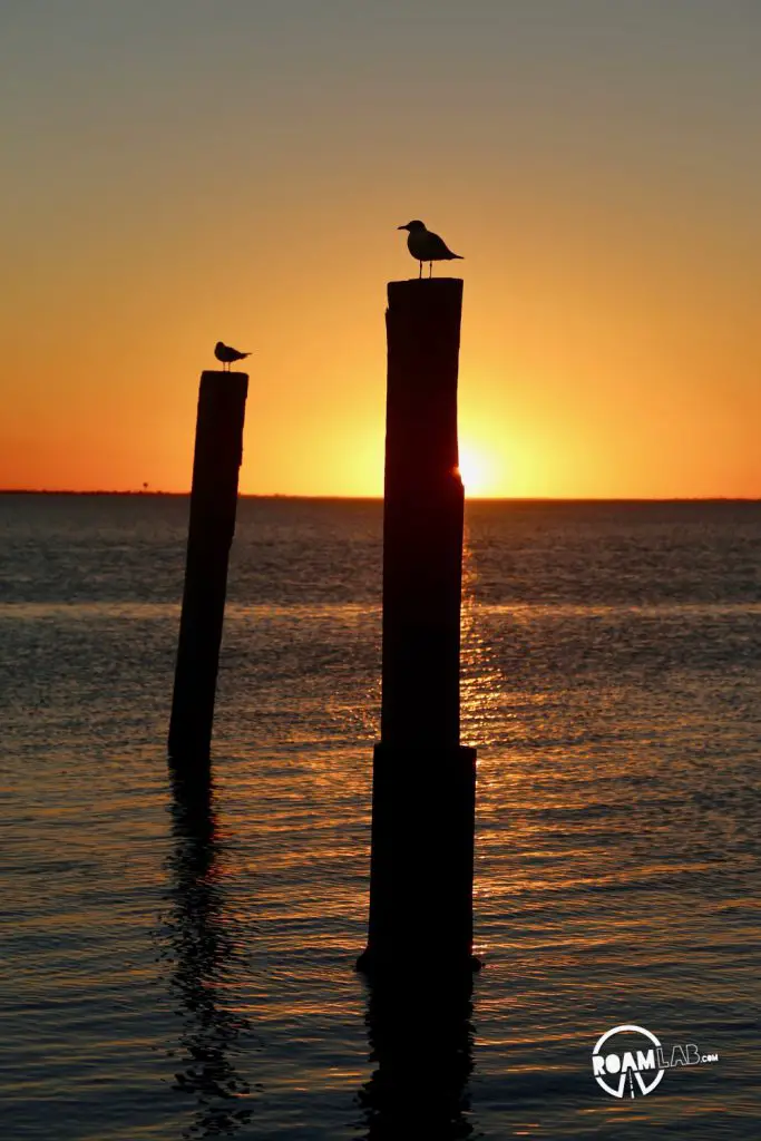 Spanish guitar strummed in the background as we watched the sunset over south padre island one last time.