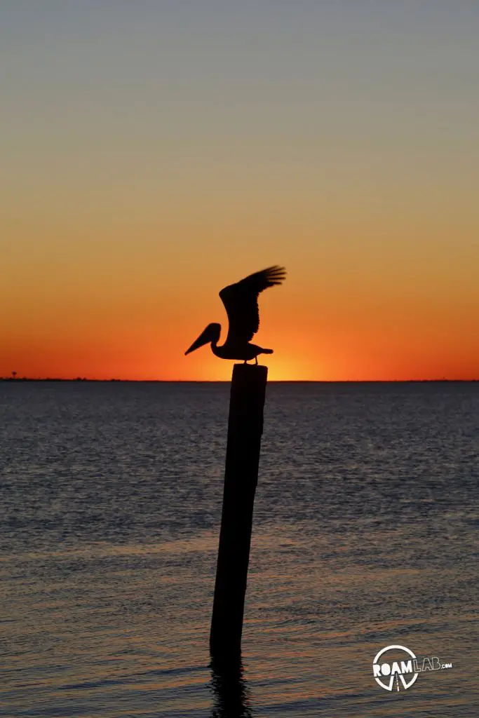 Spanish guitar strummed in the background as we watched the sunset over south padre island one last time.