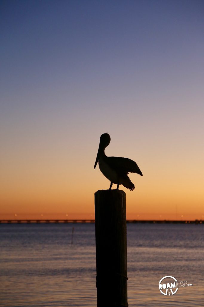 Spanish guitar strummed in the background as we watched the sunset over south padre island one last time.