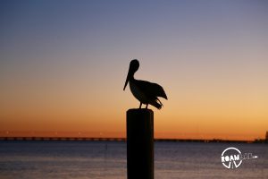 Spanish guitar strummed in the background as we watched the sunset over south padre island one last time.