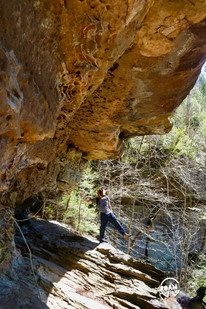 We are visiting Big South Fork National River and Recreation Area, straddling the Tennessee and Kentucky for a weekend of camping, cooking, and hiking with friends.
