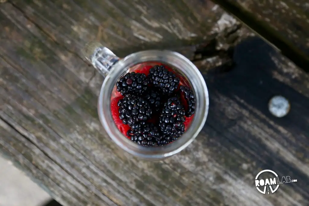 Camp-Punk Sangria is the cocktail recipe for those that would bend over backwards to buck tradition.  Even if that means mixing Mello Yellow with wine.
