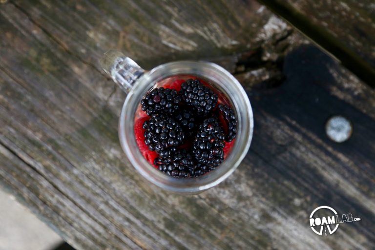 Camp-Punk Sangria is the cocktail recipe for those that would bend over backwards to buck tradition. Even if that means mixing Mello Yellow with wine.