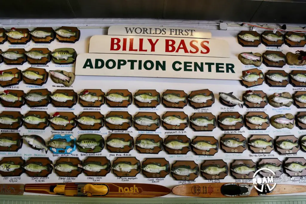 Catfish, Frogs Legs, and the Billy Bass Adoption Center