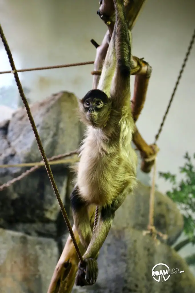 Como Park Zoo & Conservatory hosts a breathtaking collection of plants and animals from around the world, located in Saint Paul, Minnesota.