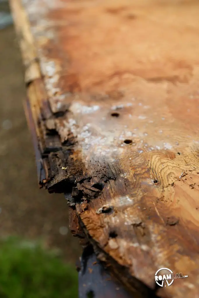 Incase you had any doubts, the original wings were profoundly rotted out.