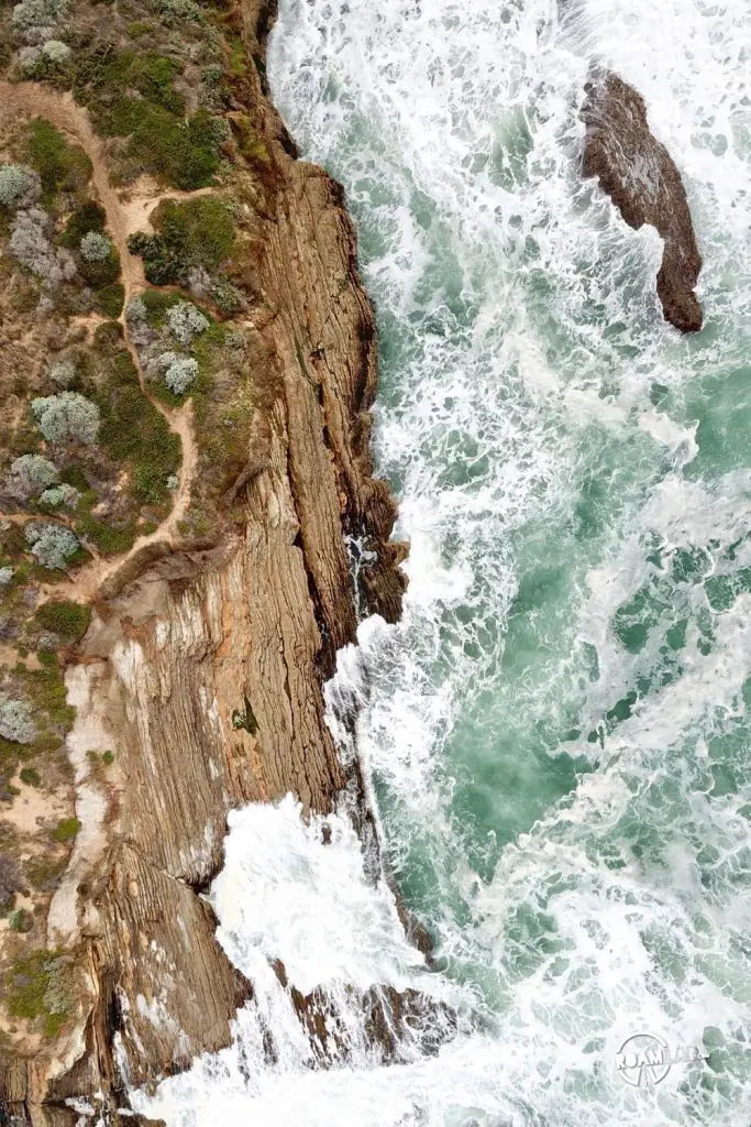 View of a hiking trail by the ocean in Montaña de Oro State Park.